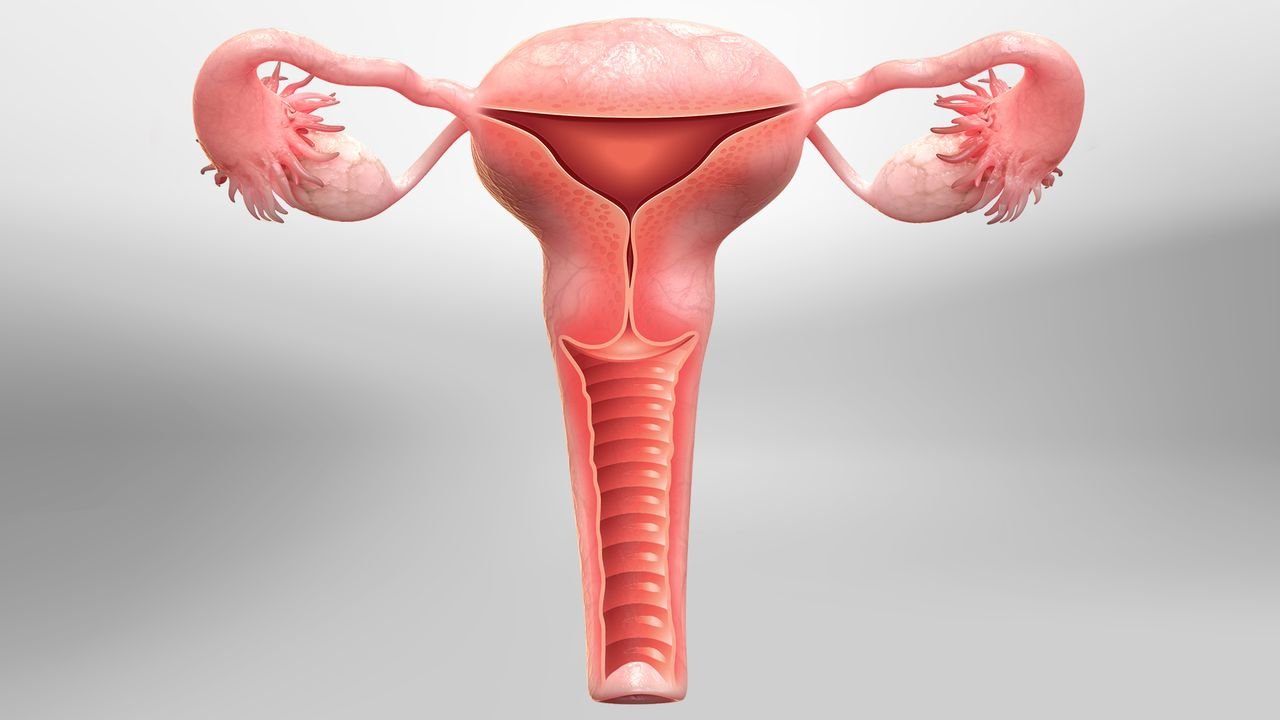 Hysterectomy Equipment